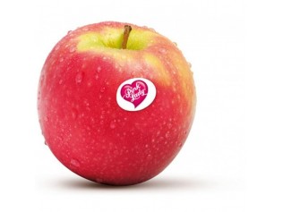 MANZANA PINK LADY